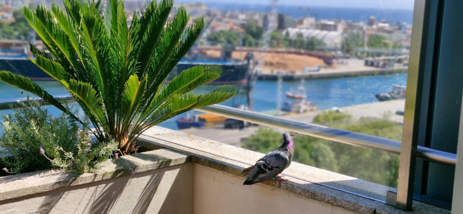 Great Apartment Belavista Leça da Palmeira المظهر الخارجي الصورة